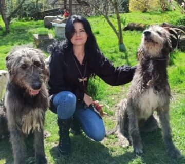 Ako porozumieť psovi, keď ho niečo bolí a ako predchádzať chorobám. Skutočne kvalitný prístup vyžaduje ešte čosi naviac.